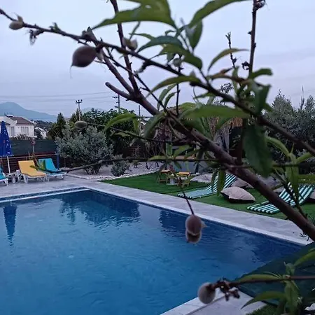 Villa Seaside